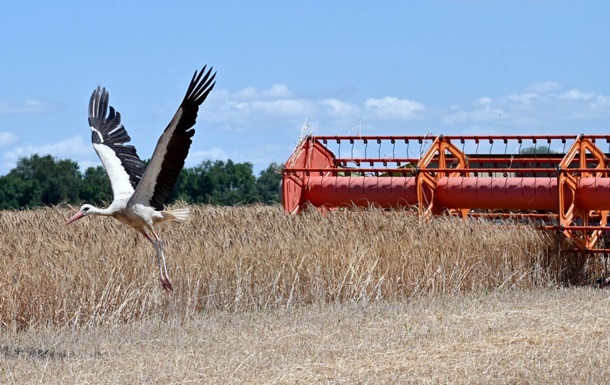 В Україні зібрали майже 30 млн тонн зерна нового врожаю