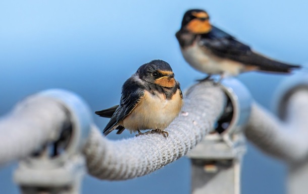 Гороскоп для всіх знаків зодіаку на 16 вересня 2025 року