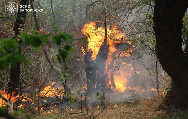 На Хортице вспыхнул масштабный пожар