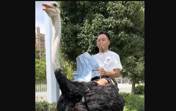 У Китаї чоловік понад 10 років їздить на страусі замість авто