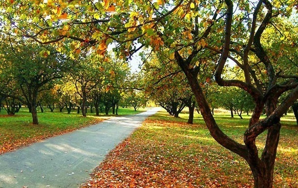 Выходные в Украине будут тёплыми