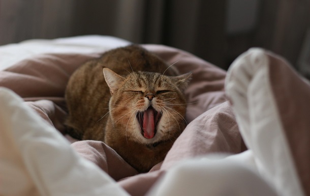 Гороскоп для всех знаков зодиака на 23 сентября 2025 года