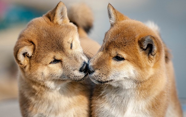 Гороскоп для всех знаков зодиака на 24 сентября 2025 года