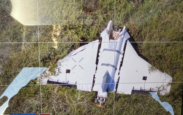 В Литве упростили для армии процесс сбивания дронов РФ