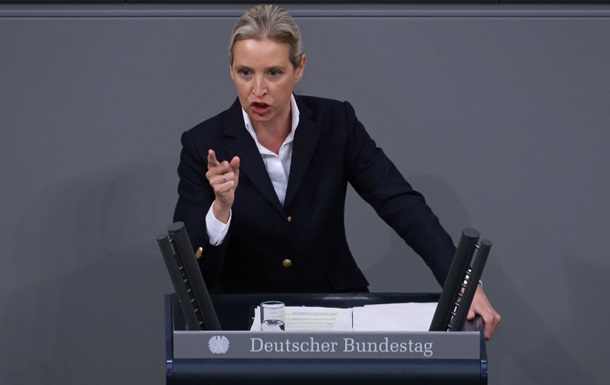 Глава партии Альтернатива для Германии раскритиковала Путина
