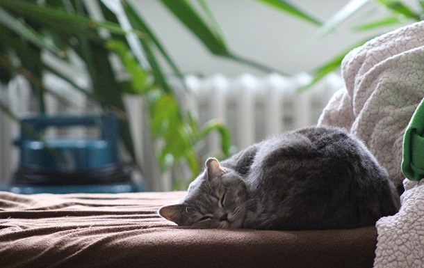 Гороскоп для всіх знаків зодіаку на 26 вересня 2025 року