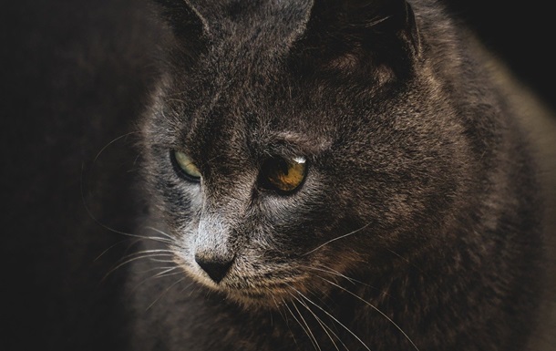 Гороскоп для всіх знаків зодіаку на вихідні 27-28 вересня 2025 року