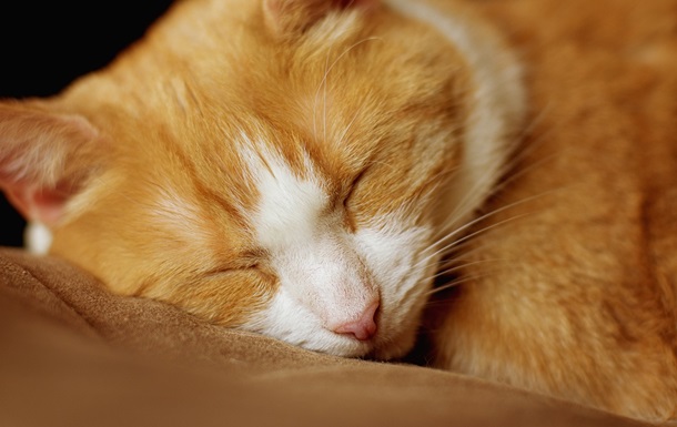 Гороскоп для всех знаков зодиака на 1 октября 2025 года