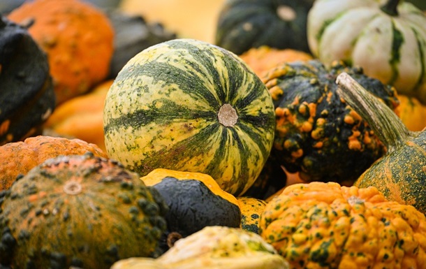 Гороскоп для всех знаков зодиака на первые выходные октября 2025 года