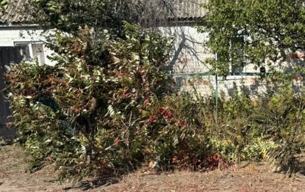 Россияне убили жительницу Харьковской области