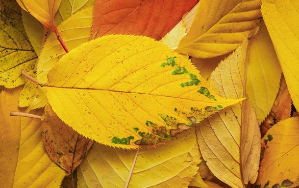 Гороскоп для всех знаков зодиака на 7 октября 2025 года