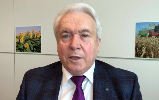 Суд конфисковал бизнес жены экс-регионала Олийника