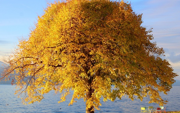 Гороскоп для всех знаков зодиака на 9 октября 2025 года