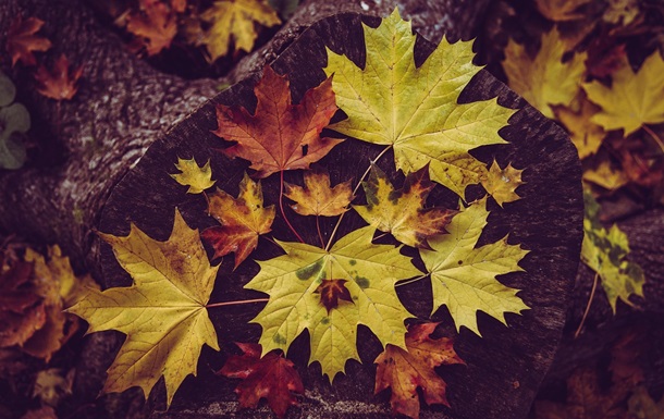 Гороскоп для всех знаков зодиака на 11-12 октября 2025 года