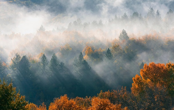 Гороскоп для всех знаков зодиака на 14 октября 2025 года