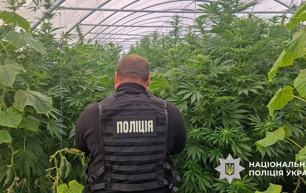 В Днепропетровской области раскрыли наркоаграриев