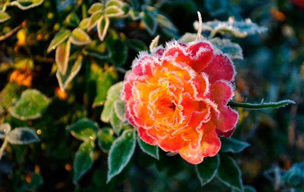 В Україні оголосили жовтий рівень небезпеки через заморозки