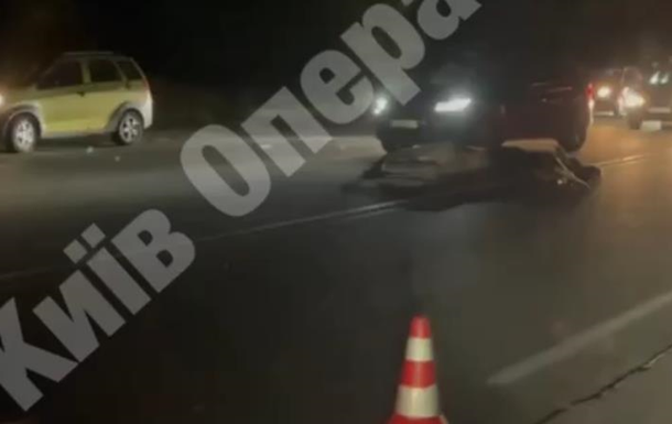 Под Киевом автомобиль сбил лося