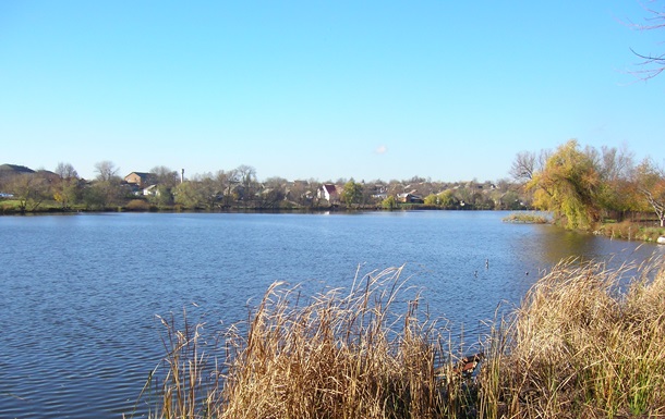 На Винничине зафиксировали массовую гибель рыбы