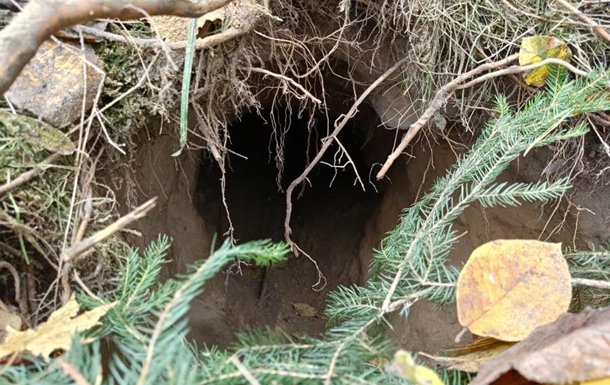 На кордоні між Польщею та Білоруссю виявили тунель