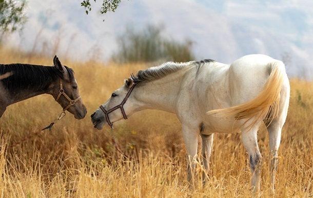 Гороскоп для всіх знаків зодіаку на 21 жовтня 2025 року