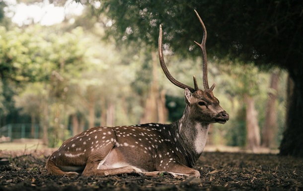 Гороскоп для всех знаков зодиака на 28 октября 2025 года