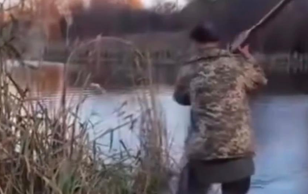 На Житомирщине мужчина убил беременную кошку веслом