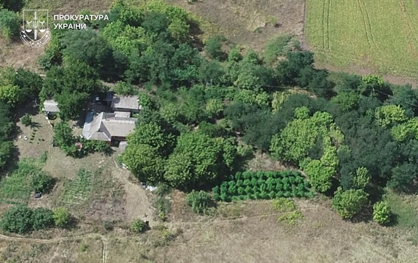 У наркоаграріїв Києва вилучили 50 мішків коноплі