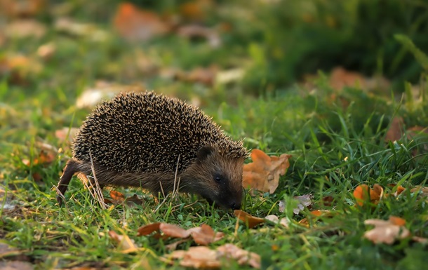Гороскоп для всіх знаків зодіаку на 4 листопада 2025 року