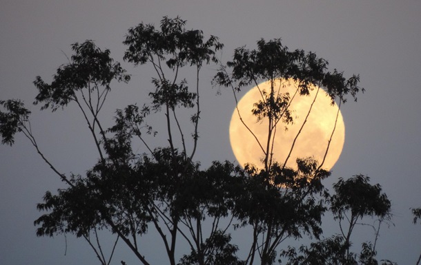 У ніч на 5 листопада небо освітить Бобровий Місяць