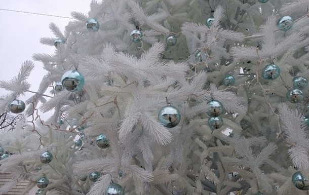 Главная елка страны: в КГГА сообщили детали ее установки