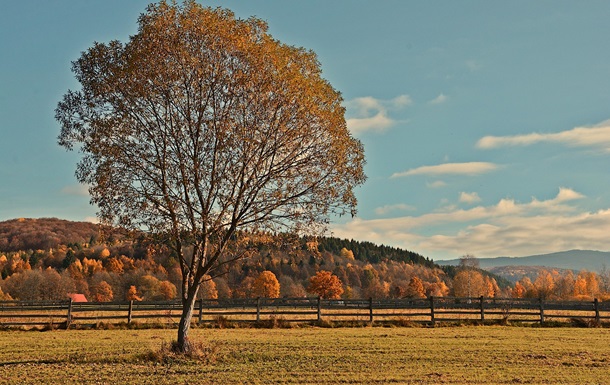 Гороскоп для всіх знаків зодіаку на вихідні 8-9 листопада 2025 року