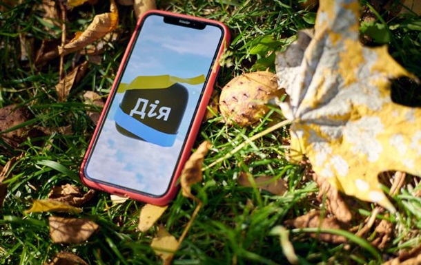 Зимняя поддержка: Дія предупредила о возможных сбоях