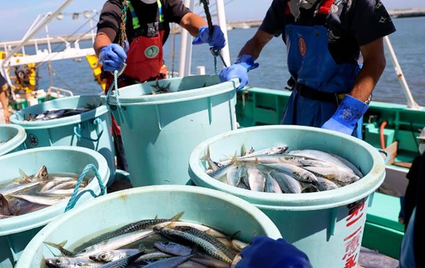 Скандал через Тайвань: Китай заборонив японські морепродукти