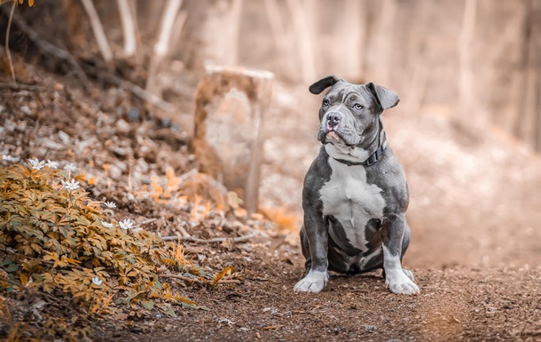 Гороскоп для всех знаков зодиака на 20 ноября 2025 года