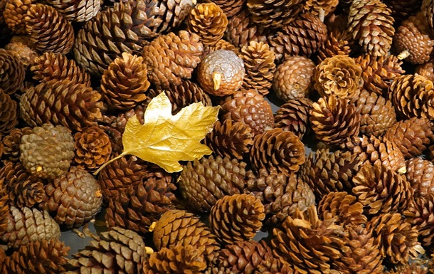 Гороскоп для всех знаков зодиака на выходные 22-23 ноября 2025 года