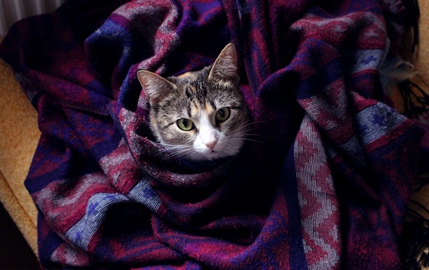 Гороскоп для всех знаков зодиака на 27 ноября 2025 года