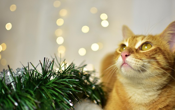 Гороскоп для всіх знаків зодіаку на 28 листопада 2025