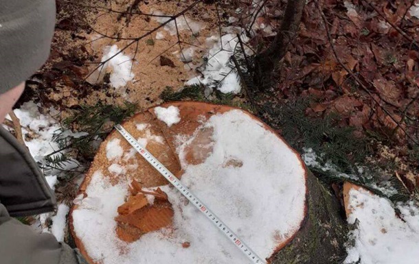 Суд рассмотрит дело экс-главы ГСЧС, который  расчистил  заказник на 7 млн