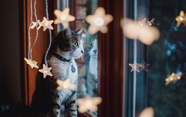 Синоптики спрогнозировали, какой будет погода в воскресенье