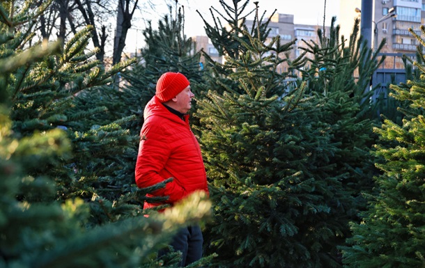 В Украине утроили штраф за вырубку хвойных