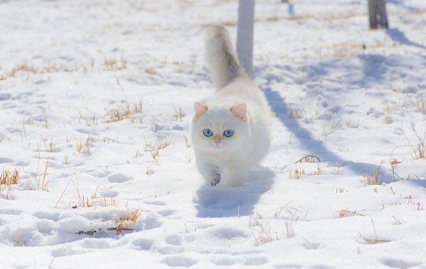 Гороскоп для всіх знаків зодіаку на 11 грудня 2025 року