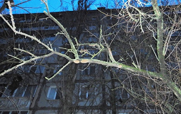 Известны детали гибели 19-летней в заблокированной квартире Николаева