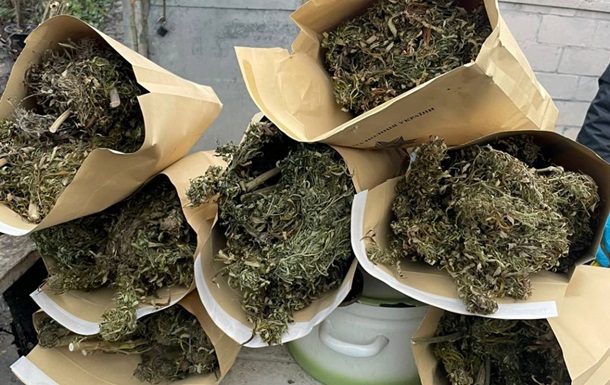 В Харьковской области у наркодилеров изъяли более 10 кг каннабиса