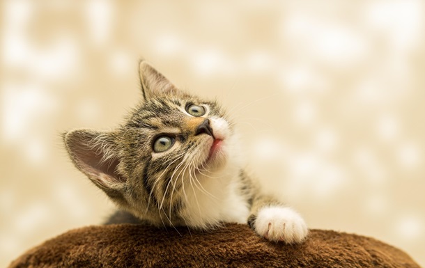 Гороскоп для всіх знаків зодіаку на 18 грудня 2025 року