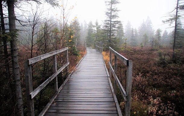 Синоптики рассказали, какая погода будет в Украине на выходных