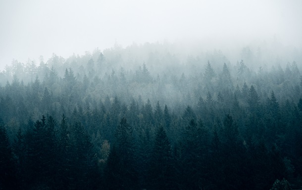 Без осадков, но с туманами: погода в начале недели