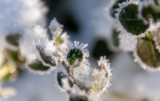Синоптики розповіли, якою буде погода на Різдво