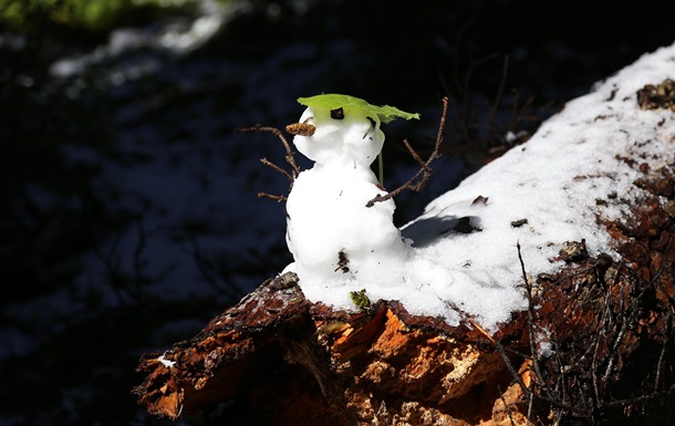 Синоптики дали прогноз погоды на январь 2026 года