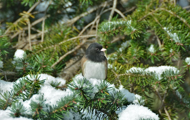 Гороскоп для всех знаков зодиака на 6 января 2026 года